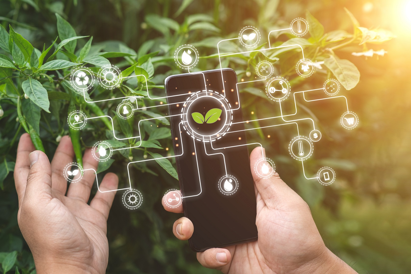 Inovações na Gestão de Resíduos: Tecnologia a Serviço da Sustentabilidade